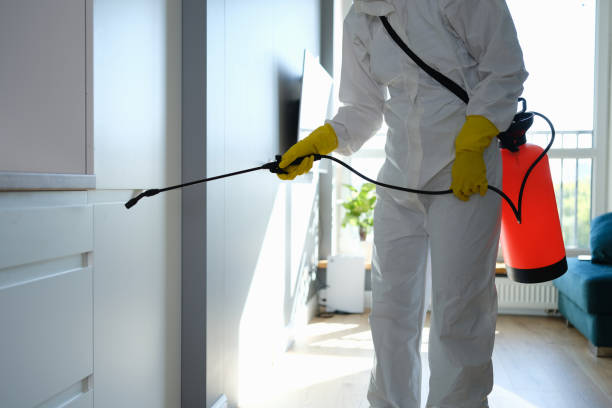 Best Affordable Mold Removal  in Argentine, MI