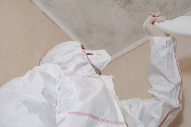 Argentine, MI Mold Removal Company